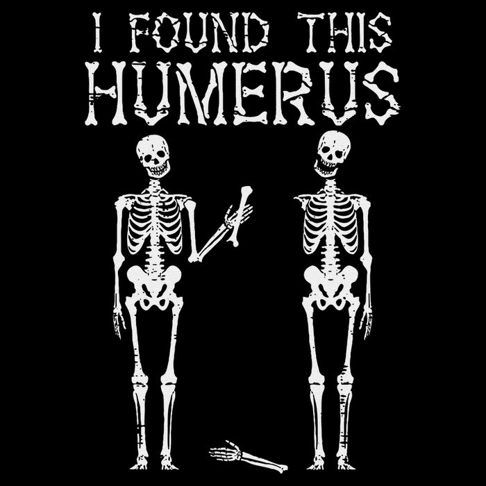 Halloween Skeleton I Found Humerus Funny Sustainable Beanie