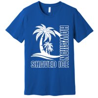 Hawaiian Shaved Ice Concession Food Truck Gift Premium T-Shirt