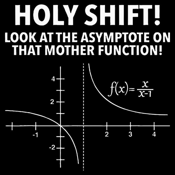 Holy Shift Look At The Asymptote On That Mother Function Flat Bill Trucker Hat