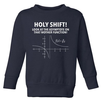 Holy Shift Look At The Asymptote On That Mother Function Toddler Sweatshirt