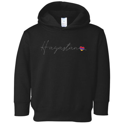 Hayastan Simple Love Armenian Flag Heart On Armenia Toddler Hoodie