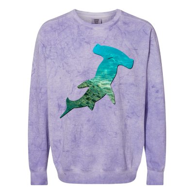 Hammerhead Shark Lovers Silhouette Earth Day And Ocean Week Gift Colorblast Crewneck Sweatshirt