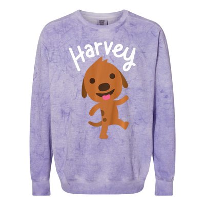 Harvey Sago Mini Colorblast Crewneck Sweatshirt