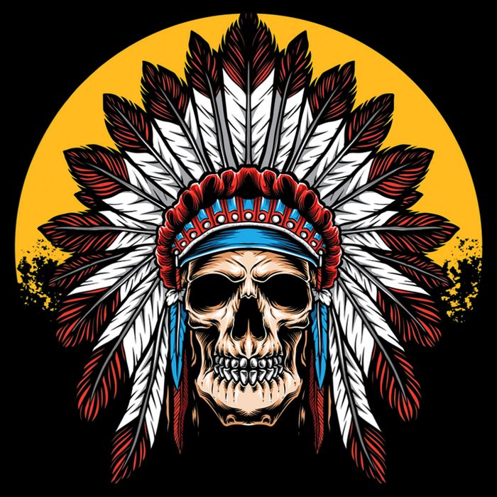 Headdress Skull Native American Heritage Native American T-Shirt