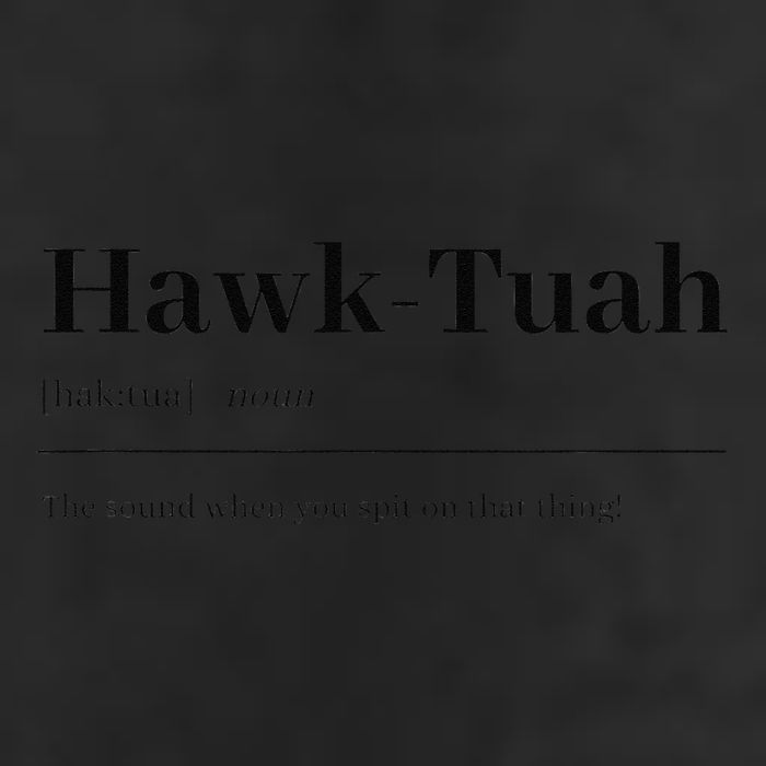 Hawktuahsound Spit On That Thing Funviral Quote 15oz Campfire Ceramic Mug