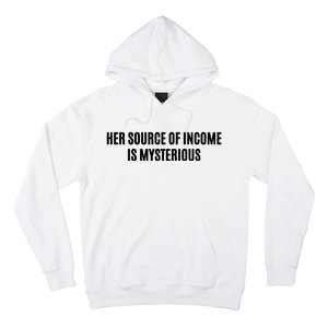 Her Source Of Income Is Mysterious Hoodie