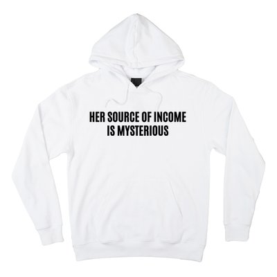 Her Source Of Income Is Mysterious Hoodie