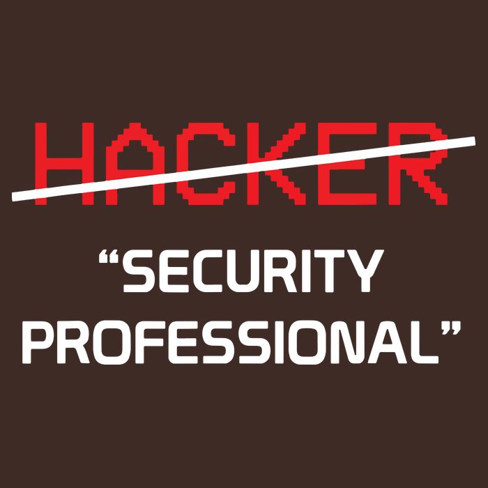 Hacker Security Professional Funny Programmer Gift Poster