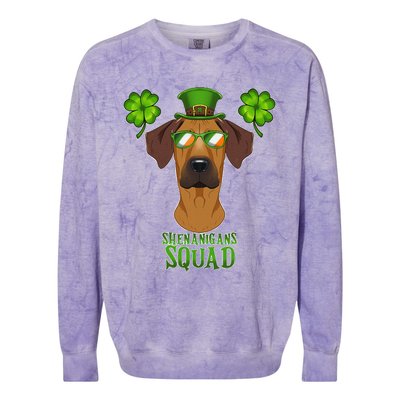 happy St. Patricks Day Rottweiler Shenanigans apparel Colorblast Crewneck Sweatshirt