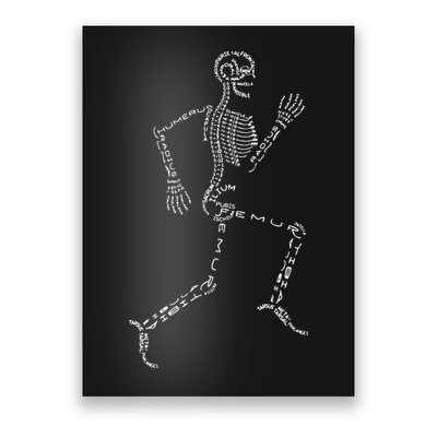 Human Skeleton Running Bone Names Anatomy Labels for Geeks Poster