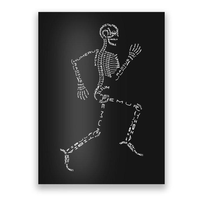 Human Skeleton Running Bone Names Anatomy Labels for Geeks Poster