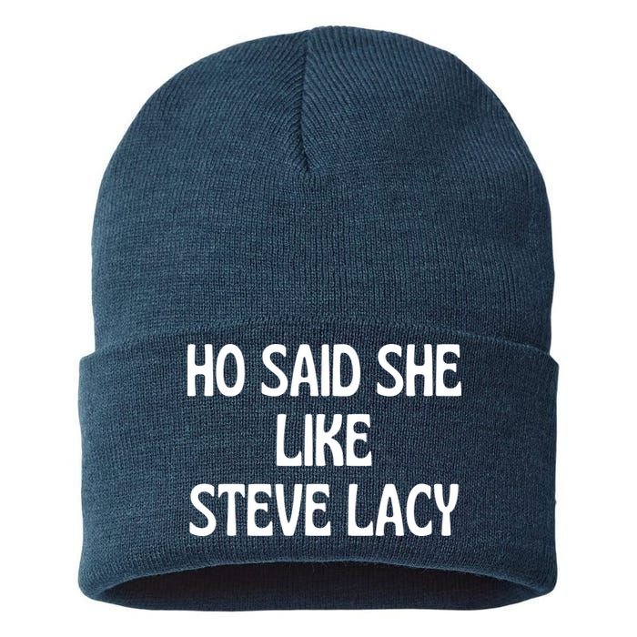 Ho Said She Like Steve Lacy Sustainable Knit Beanie