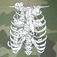 Human Skeleton Spine Cats Legacy Tie Dye Trucker Hat