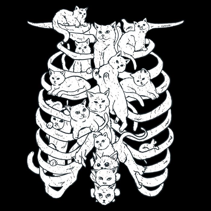 Human Skeleton Spine Cats Drawstring Bag