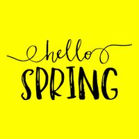 Hello Spring Season Women's V-Neck T-Shirt