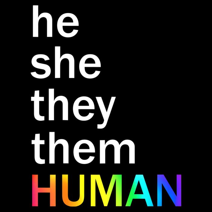 He She They Them Human LGBTQ Pride 7-Panel Snapback Hat