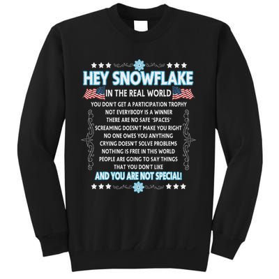 Hey Snowflake The Real World Funny Veteran Gift Sweatshirt