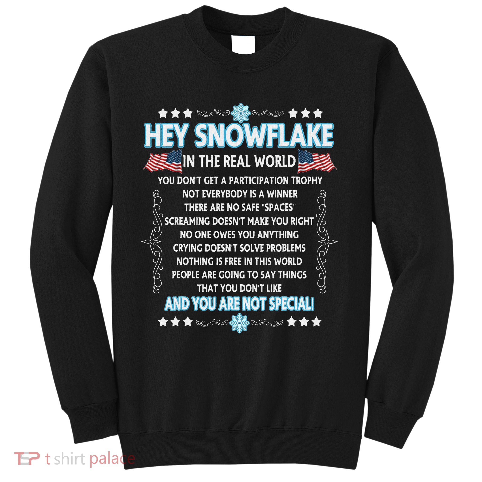 Hey Snowflake The Real World Funny Veteran Gift Sweatshirt
