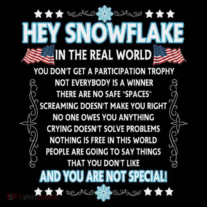 Hey Snowflake The Real World Funny Veteran Gift Tall T-Shirt