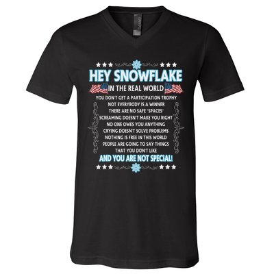 Hey Snowflake The Real World Funny Veteran Gift V-Neck T-Shirt