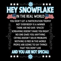 Hey Snowflake The Real World Funny Veteran Gift 16 in Basic Backpack