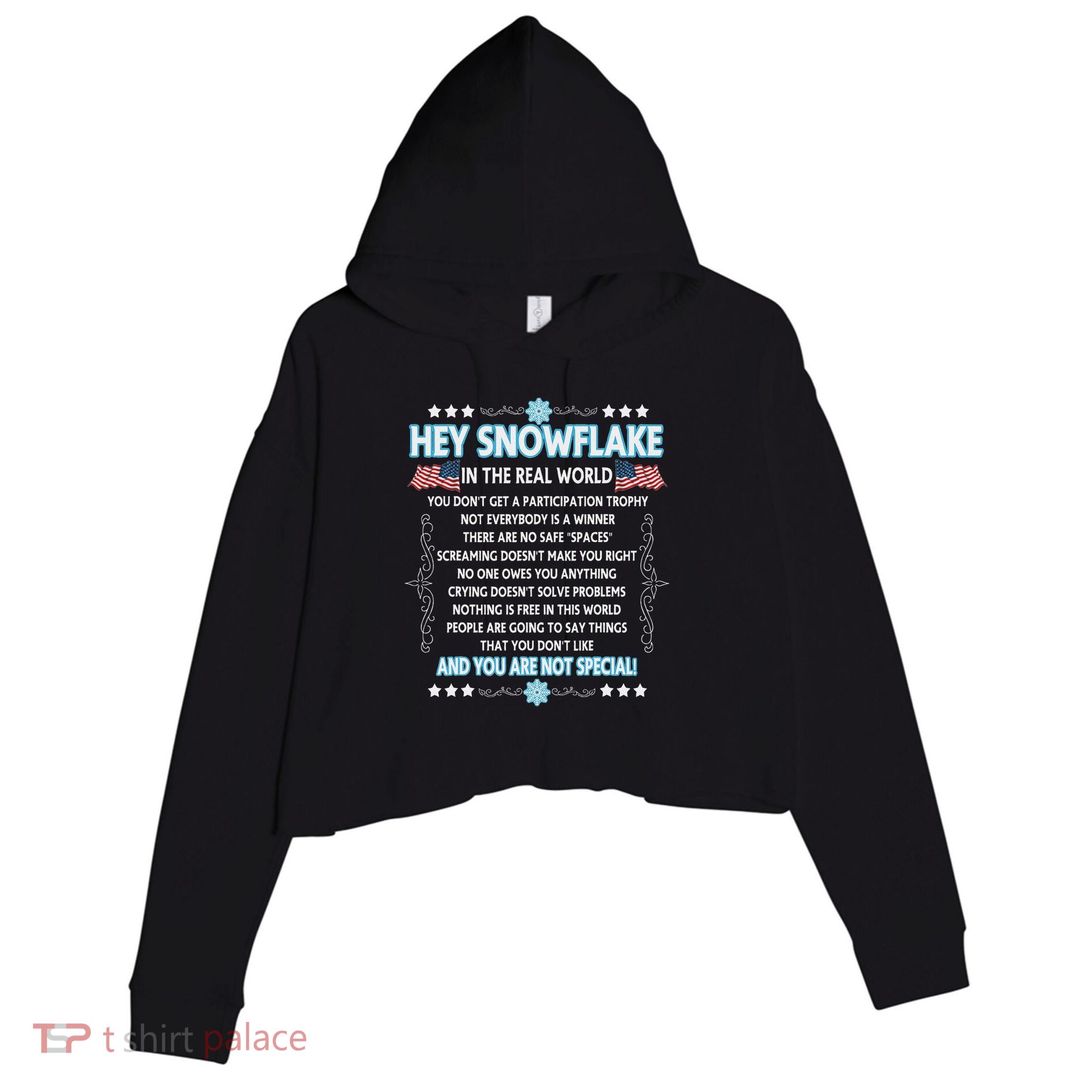 Hey Snowflake The Real World Funny Veteran Gift Crop Fleece Hoodie