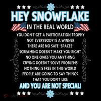 Hey Snowflake The Real World Funny Veteran Gift Tall Sweatshirt