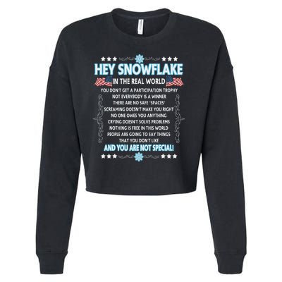 Hey Snowflake The Real World Funny Veteran Gift Cropped Pullover Crew