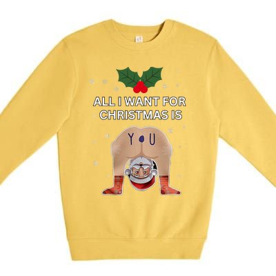 Hilarious Situations Ugly Christmas Sweater Premium Crewneck Sweatshirt