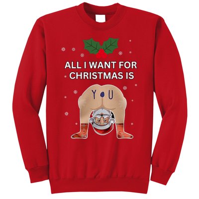 Hilarious Situations Ugly Christmas Sweater Sweatshirt