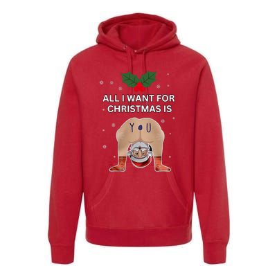 Hilarious Situations Ugly Christmas Sweater Premium Hoodie