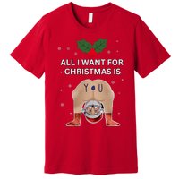 Hilarious Situations Ugly Christmas Sweater Premium T-Shirt