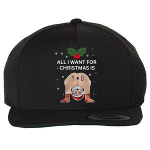 Hilarious Situations Ugly Christmas Wool Snapback Cap