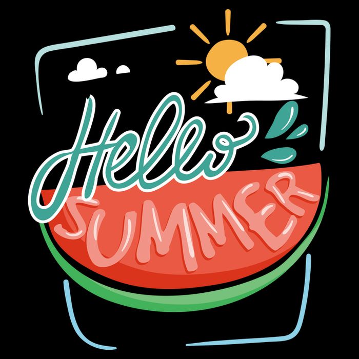 Hello Summer Watermelon Sunshine Wool Snapback Cap