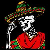 Halloween Skeleton Wearing Mexican Poncho Sombrero T-Shirt