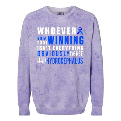 Hydrocephalus Survivor Winning Awareness Warrior Gift Colorblast Crewneck Sweatshirt