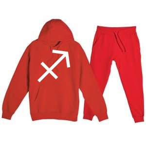 Horoscope Sagittarius Zodiac Astrology Sign Birthday Cute Gift Premium Hooded Sweatsuit Set