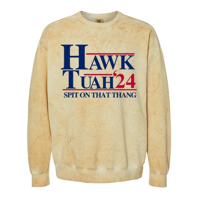 Hawk Tuah 24 Spit On That Thang Funny Saying Colorblast Crewneck Sweatshirt