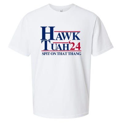 Hawk Tuah 24 Spit On That Thang Funny Saying Sueded Cloud Jersey T-Shirt