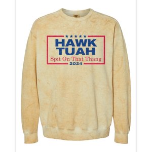 Hawk Tuah 24 Spit On That Thang Hawk Tush For President 2024 Election Parody Colorblast Crewneck Sweatshirt