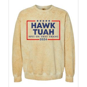 Hawk Tuah 24 Spit On That Thang Hawk Tush For President 2024 Election Parody Colorblast Crewneck Sweatshirt