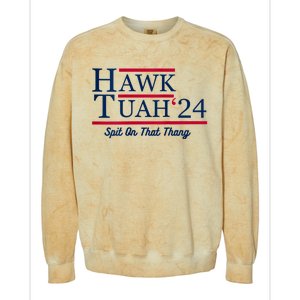 Hawk Tuah 24 Spit On That Thang Hawk Tush For President 2024 Election Parody Colorblast Crewneck Sweatshirt