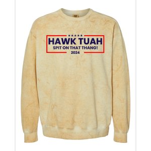 Hawk Tuah 24 Spit On That Thang Hawk Tush For President 2024 Election Parody Colorblast Crewneck Sweatshirt