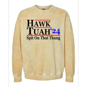 Hawk Tuah 24 Spit On That Thang Hawk Tush For President 2024 Election Parody Colorblast Crewneck Sweatshirt