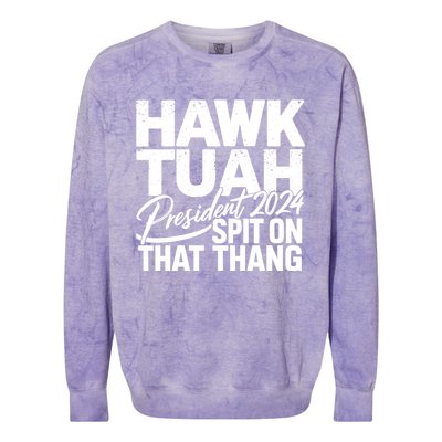 Hawk Tuah 24 Spit On That Thang Hawk Tush For President 2024 Election Parody Colorblast Crewneck Sweatshirt