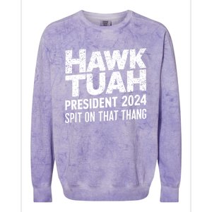 Hawk Tuah 24 Spit On That Thang Hawk Tush For President 2024 Election Parody Colorblast Crewneck Sweatshirt