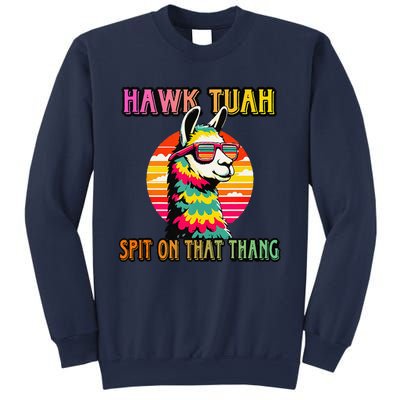 Hawk Tuah 24 Spit On That Thang Hawk Tuah 2024 Hawk Tush Sweatshirt