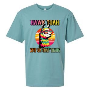 Hawk Tuah 24 Spit On That Thang Hawk Tuah 2024 Hawk Tush Sueded Cloud Jersey T-Shirt