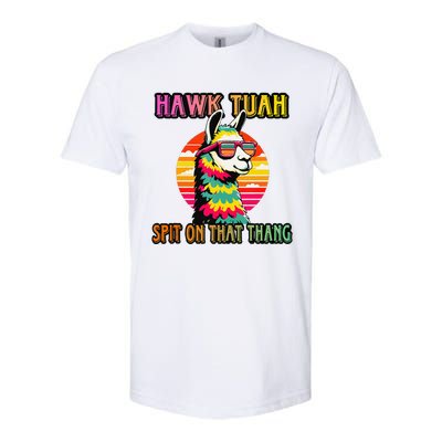 Hawk Tuah 24 Spit On That Thang Hawk Tuah 2024 Hawk Tush Softstyle CVC T-Shirt