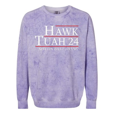 Hawk Tuah 24 Election Spit On That Thing Trending Meme 2024 Colorblast Crewneck Sweatshirt